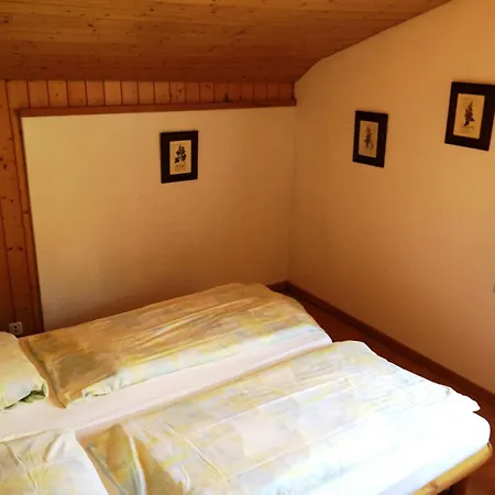 Chalet-hotel Adler Ag